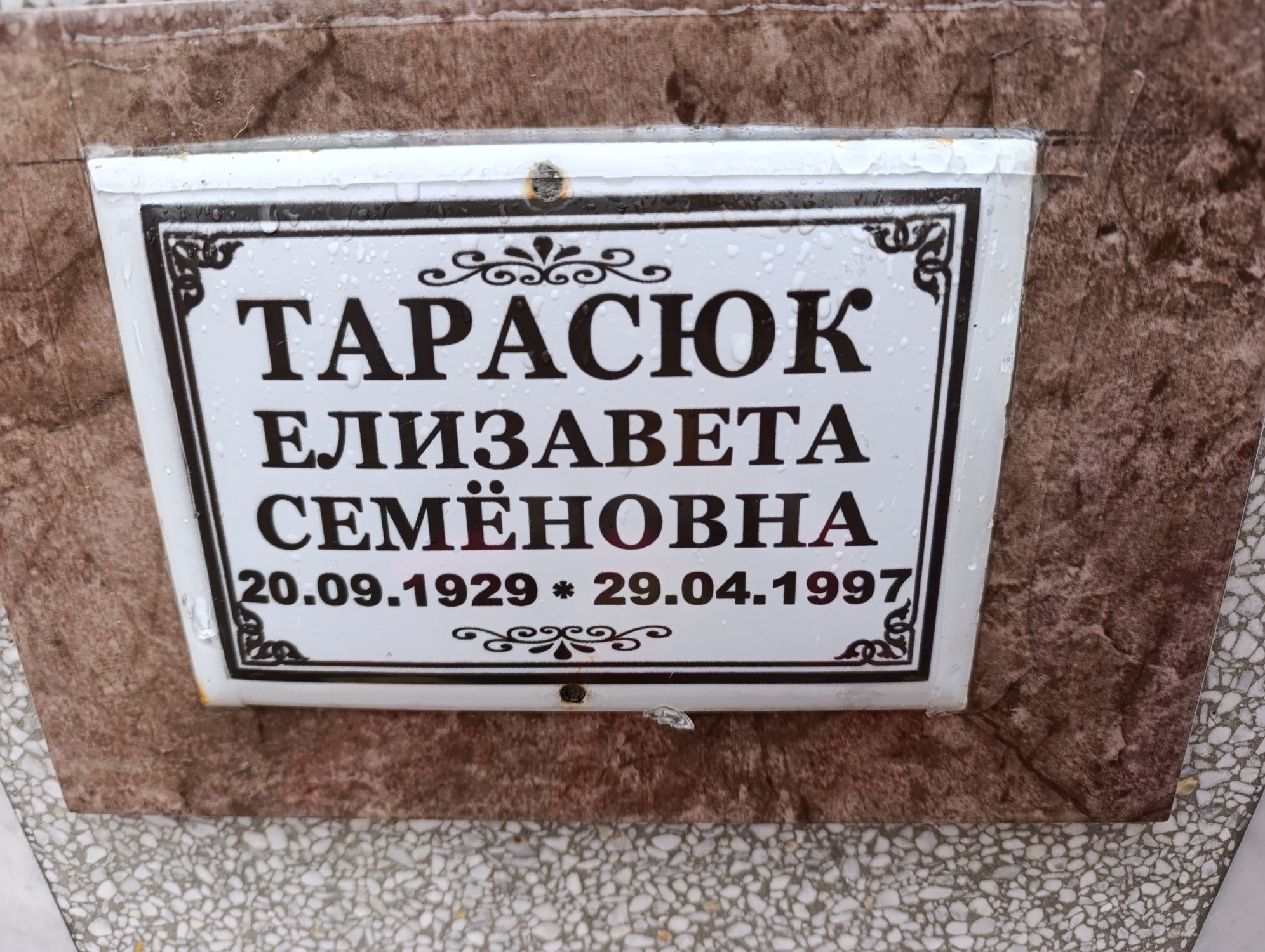 Тарасюк Елизавета Семеновна