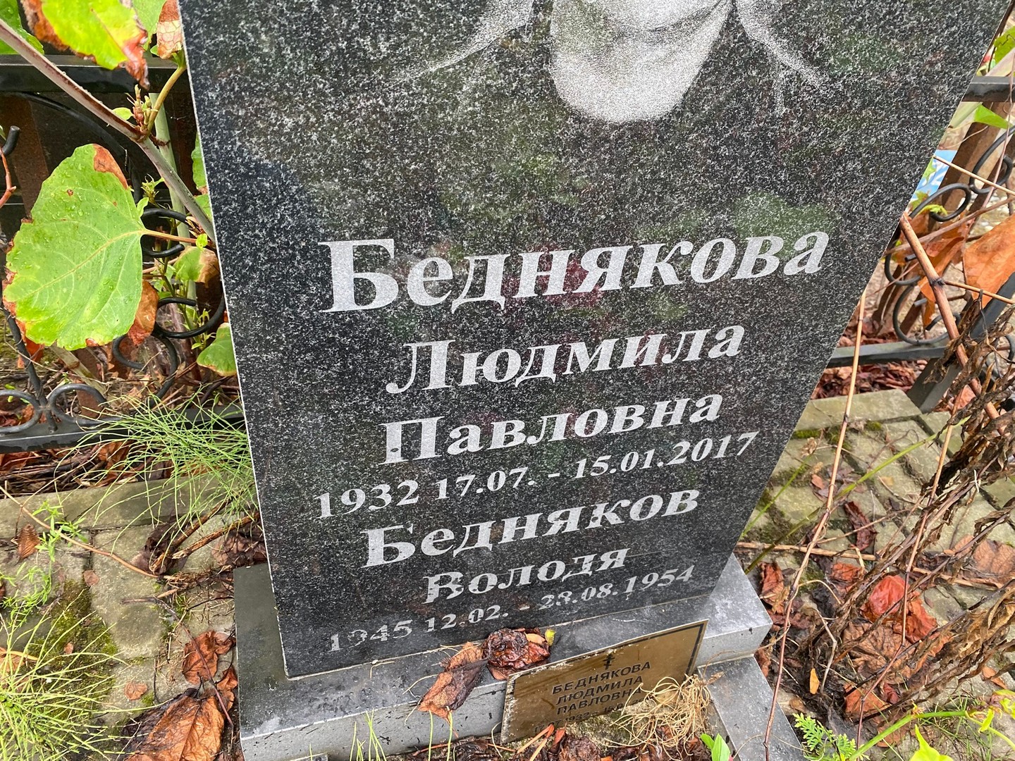 Бедняков Бедняков