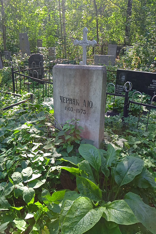 Черняк А. Ю.