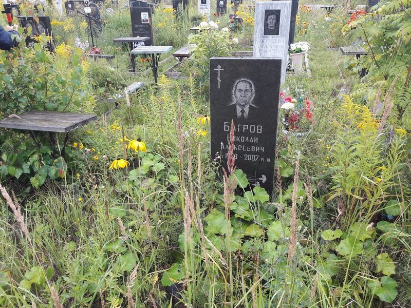 Багров Николай Алексеевич