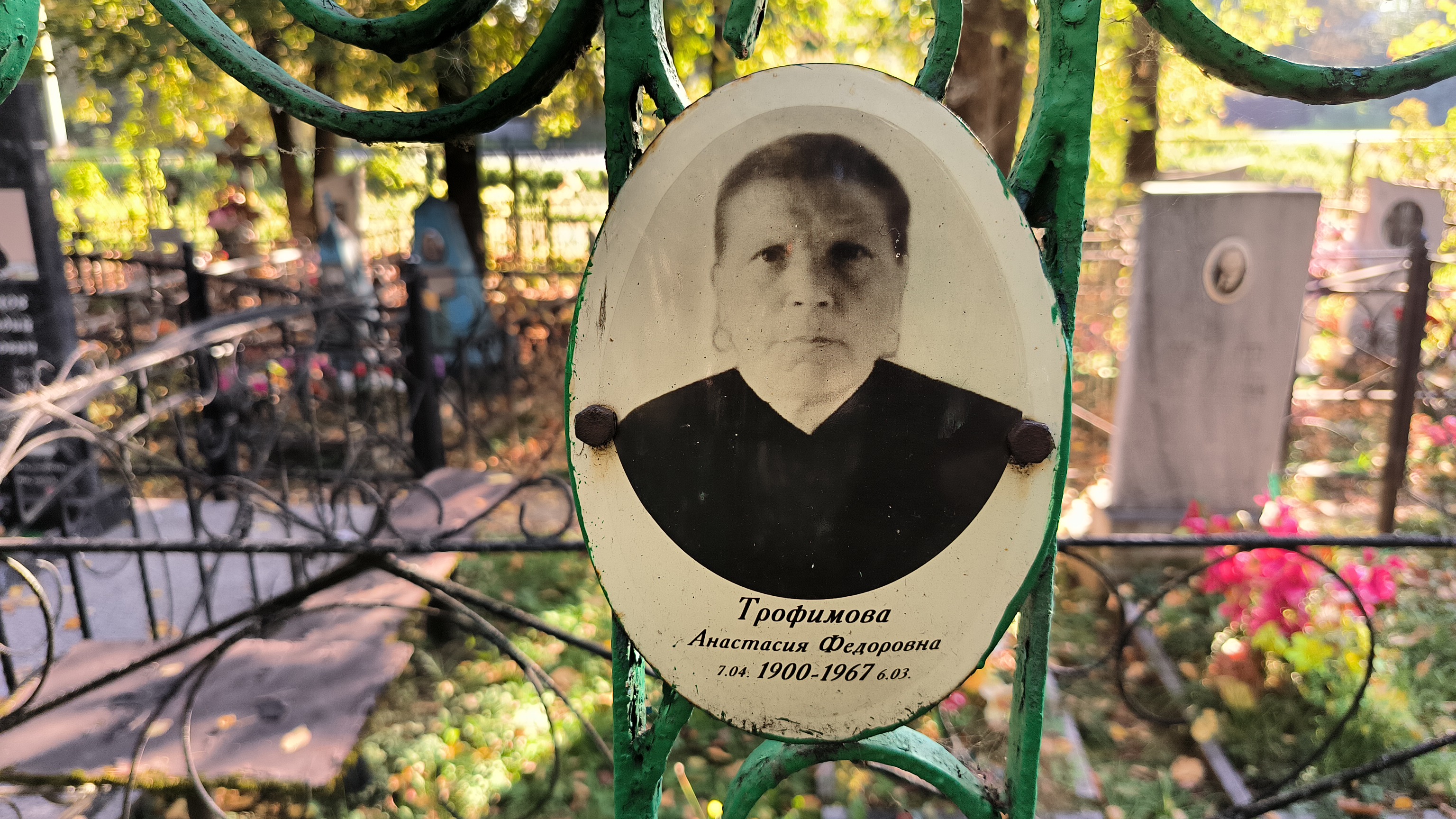 Трофимова Анастасия Федоровна