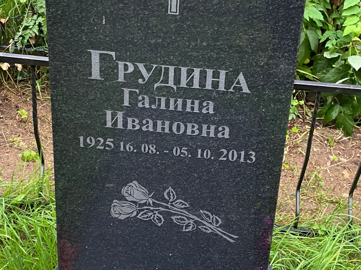 Грудина