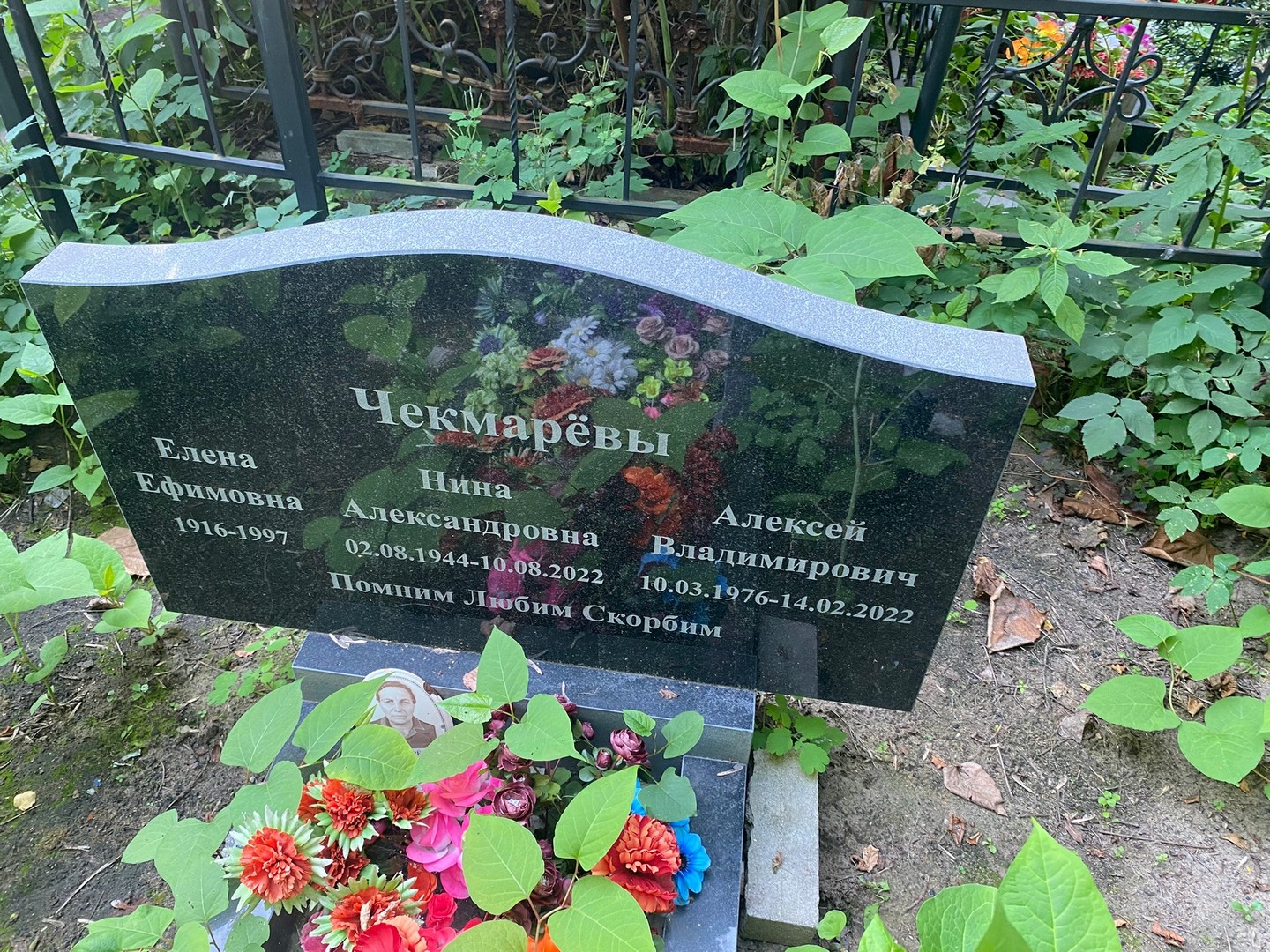 Чекмарева