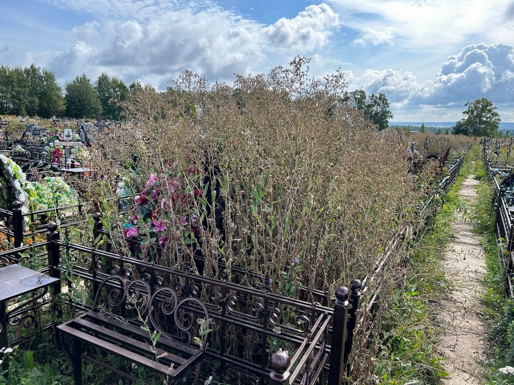 Костикова Ольга Владимировна