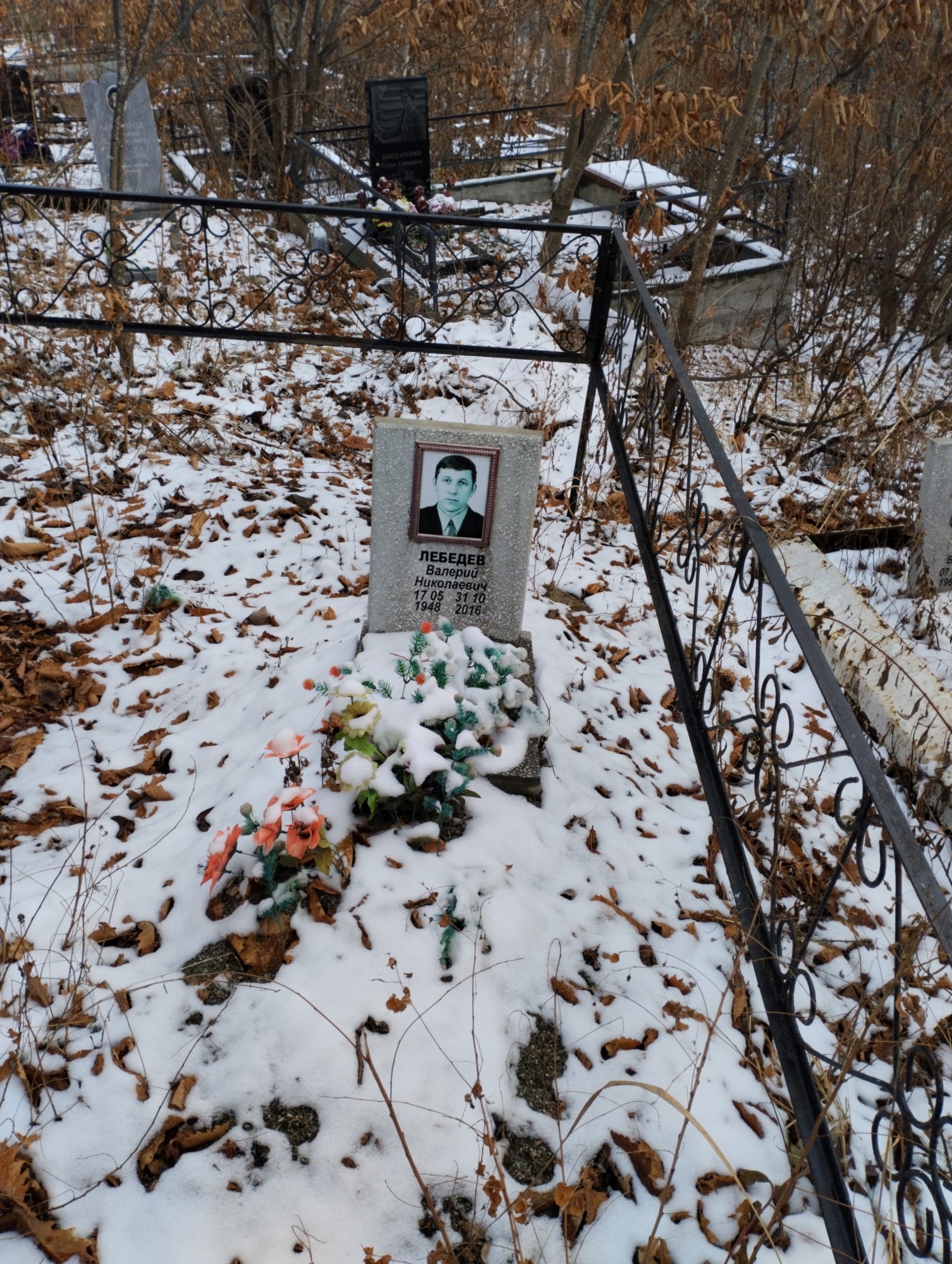 Лебедев Валерий Николаевич
