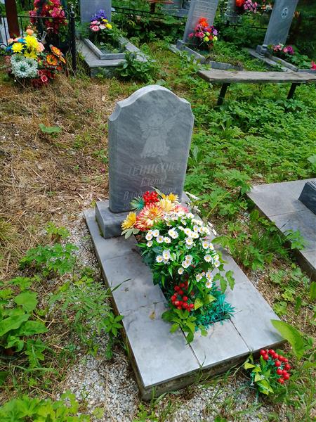 Денисова Елена Владимировна