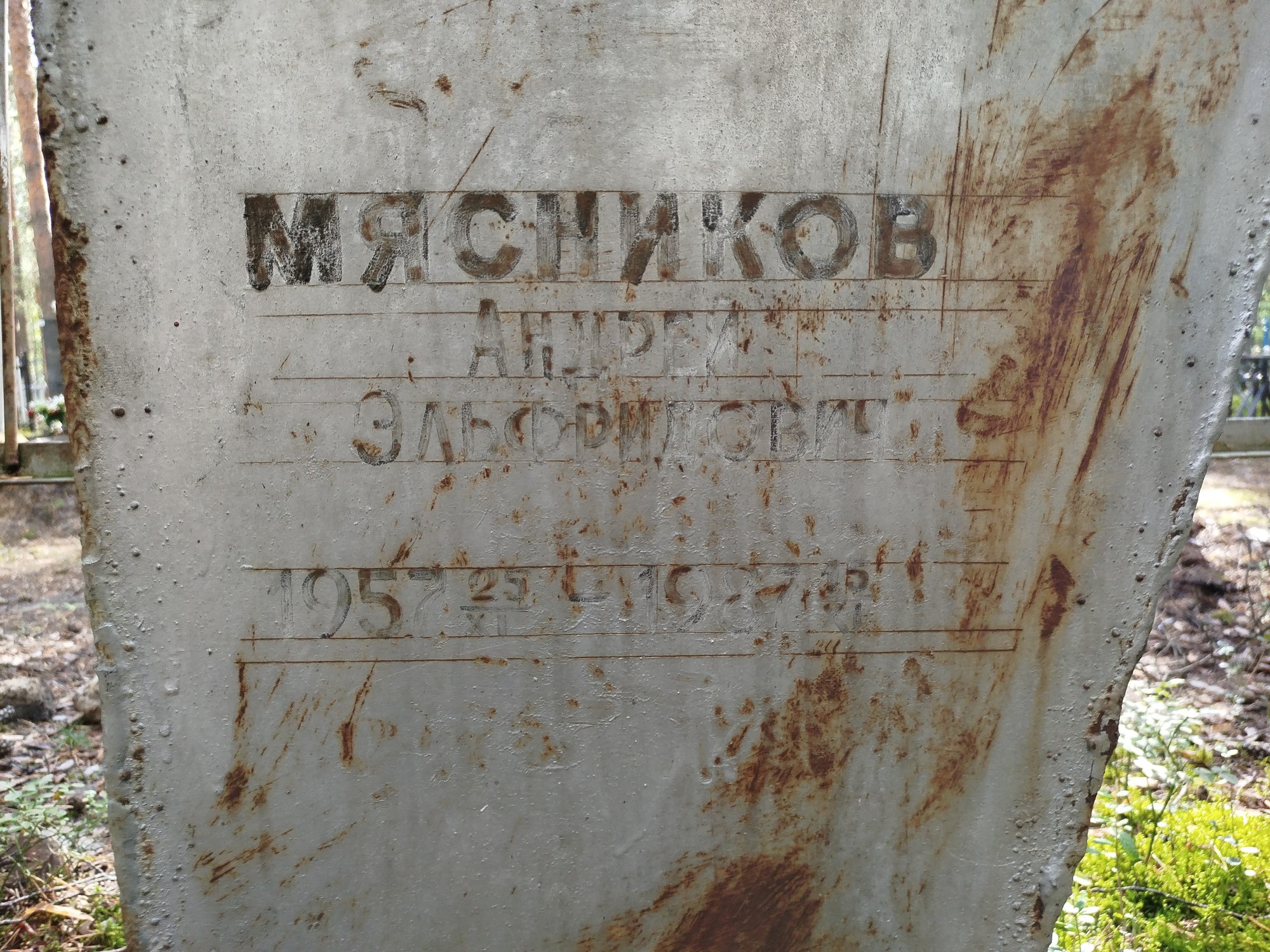 Мясников Андрей ЭльФридович