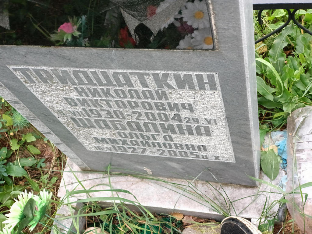 Тридцаткин Николай Викторович
