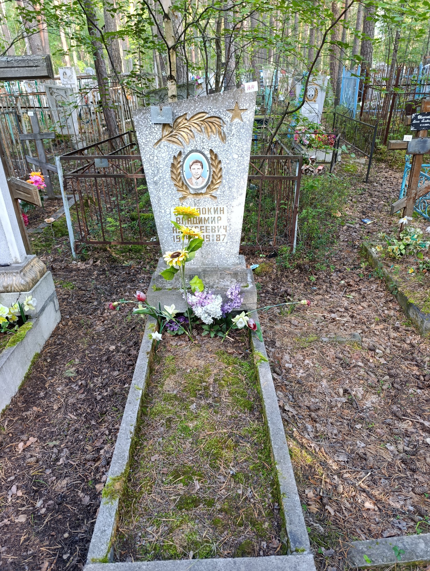 Заволокин Владимир Алексеевич