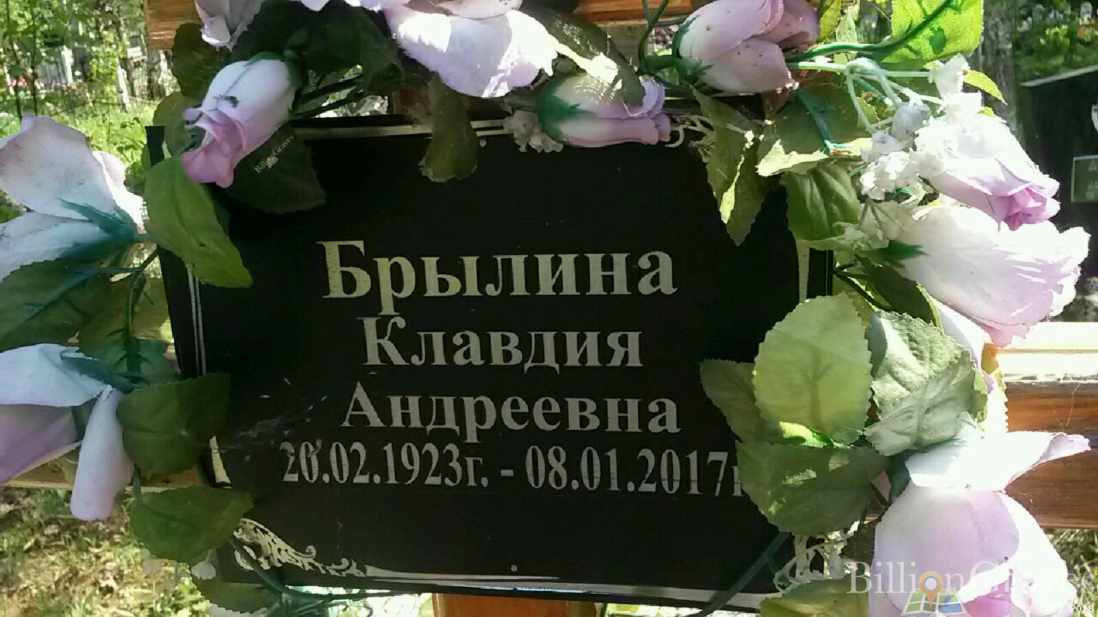 брылин владимир александрович