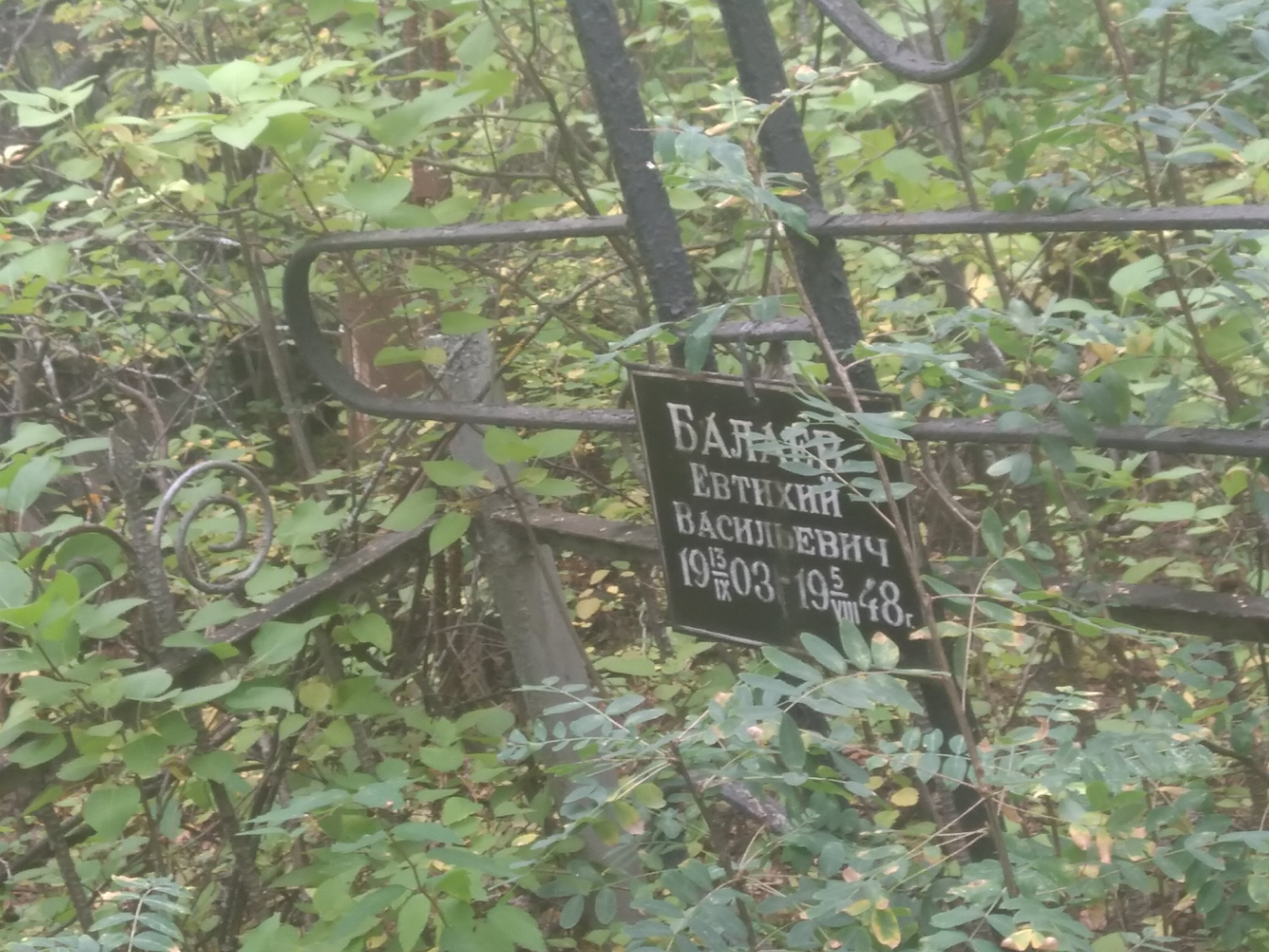 Балаев Евтихий Васильевич