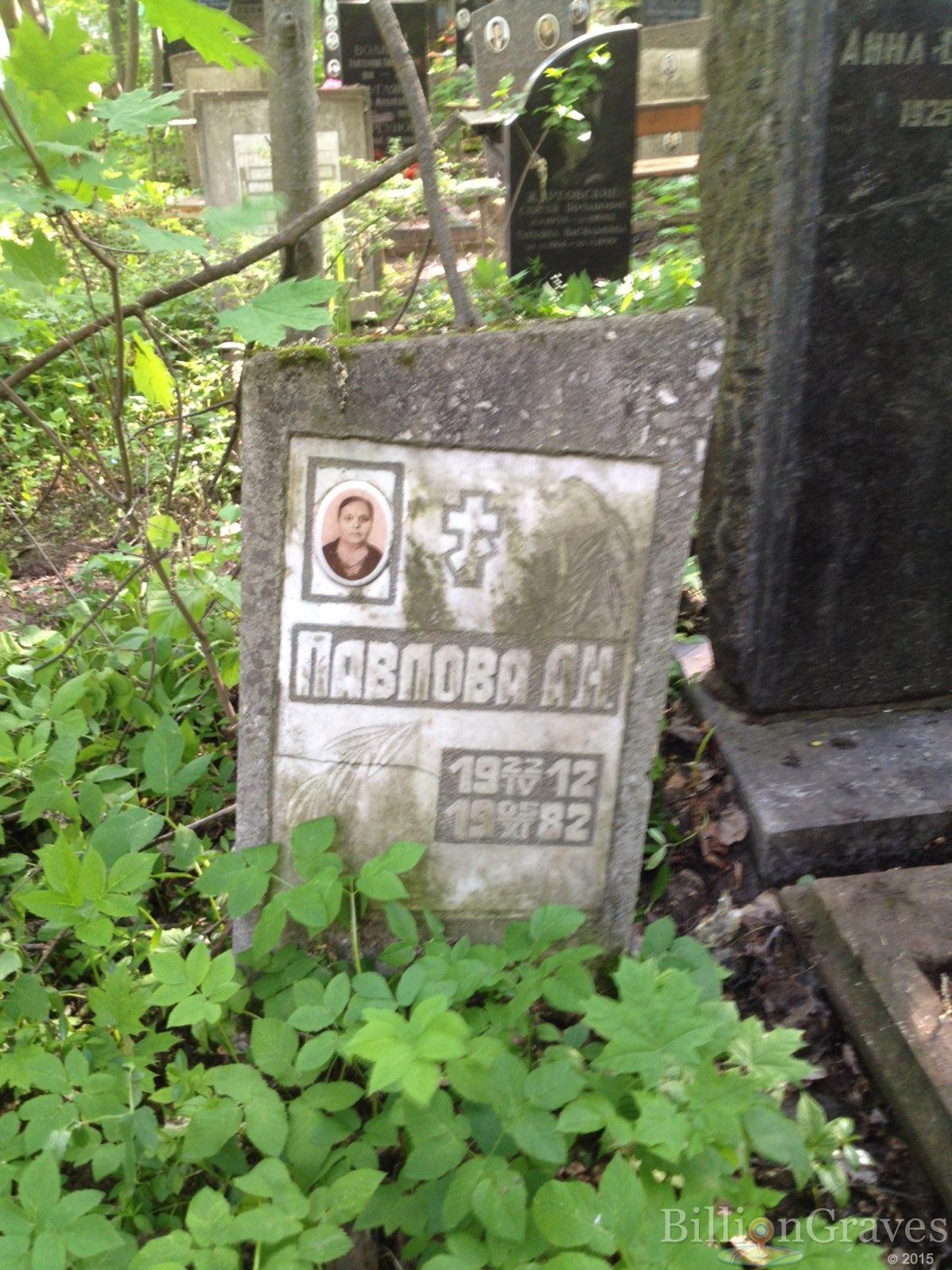 Павлова А.Н.