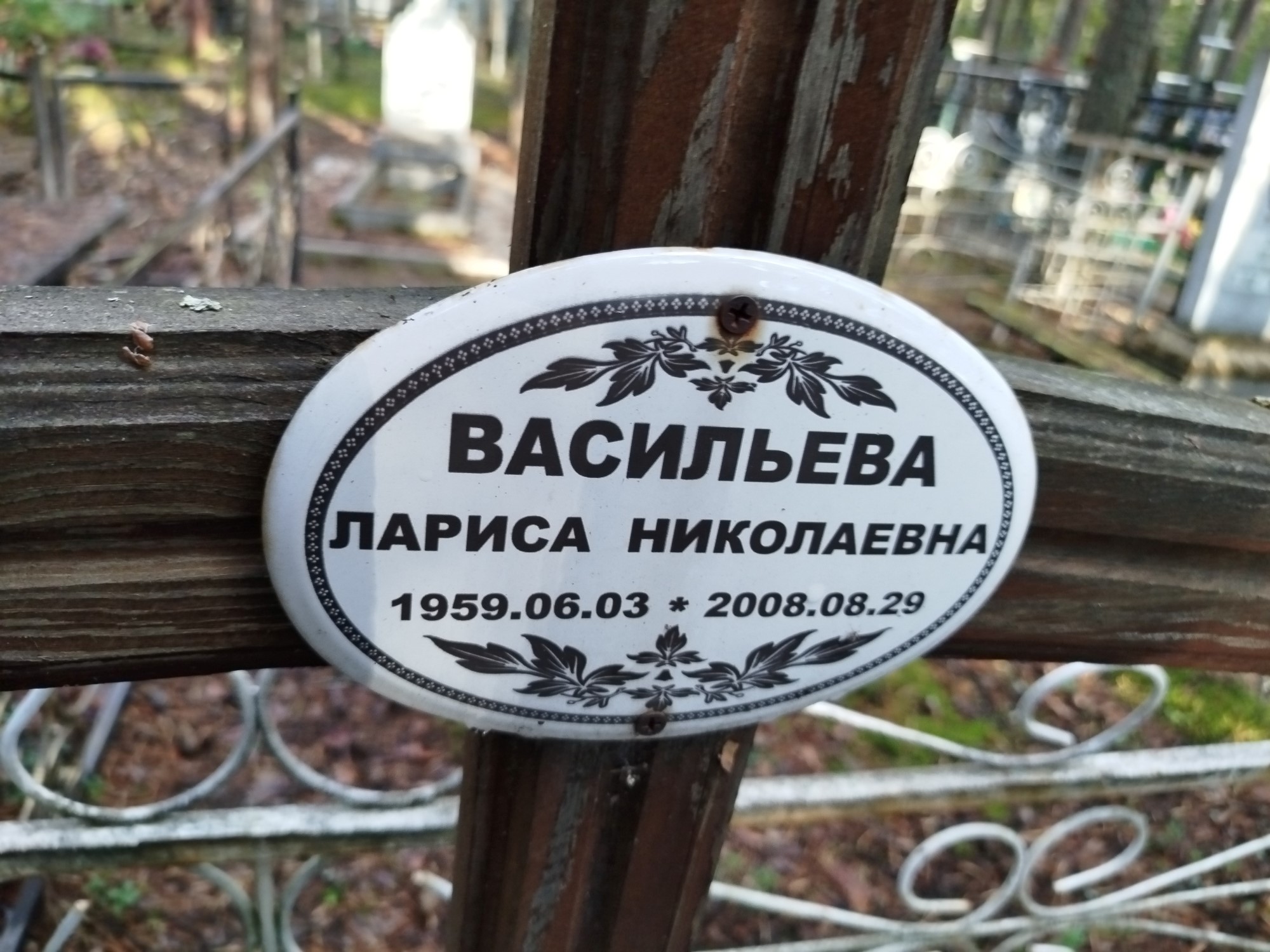 Васильева Лариса Николаевна
