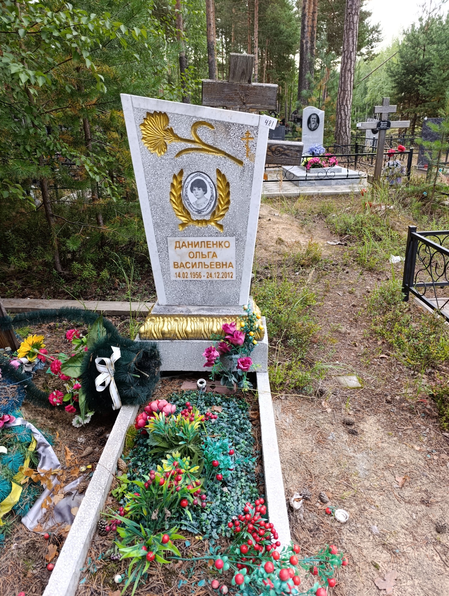 Даниленко Ольга Васильевна