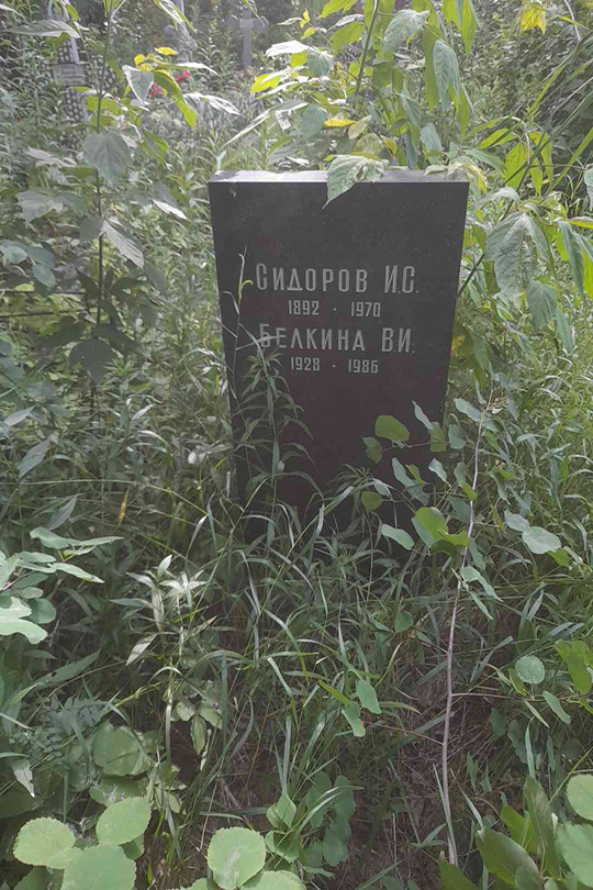 Сидоров И. С.