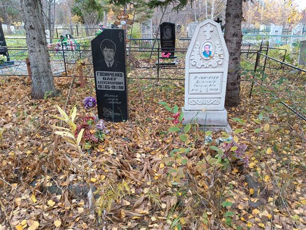 Госинченко Александр Николаевич