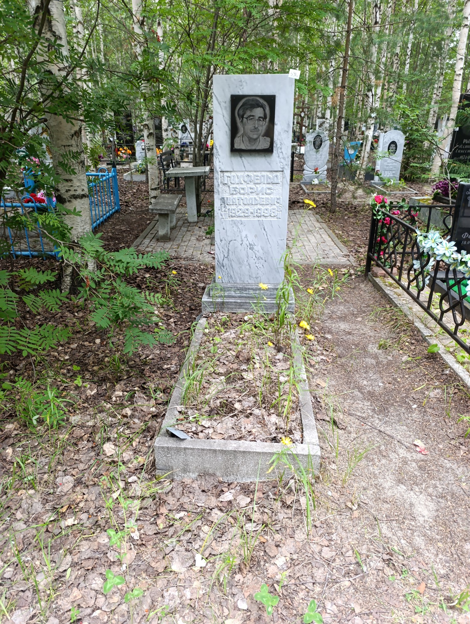 Гохфельд Борис Анатольевич