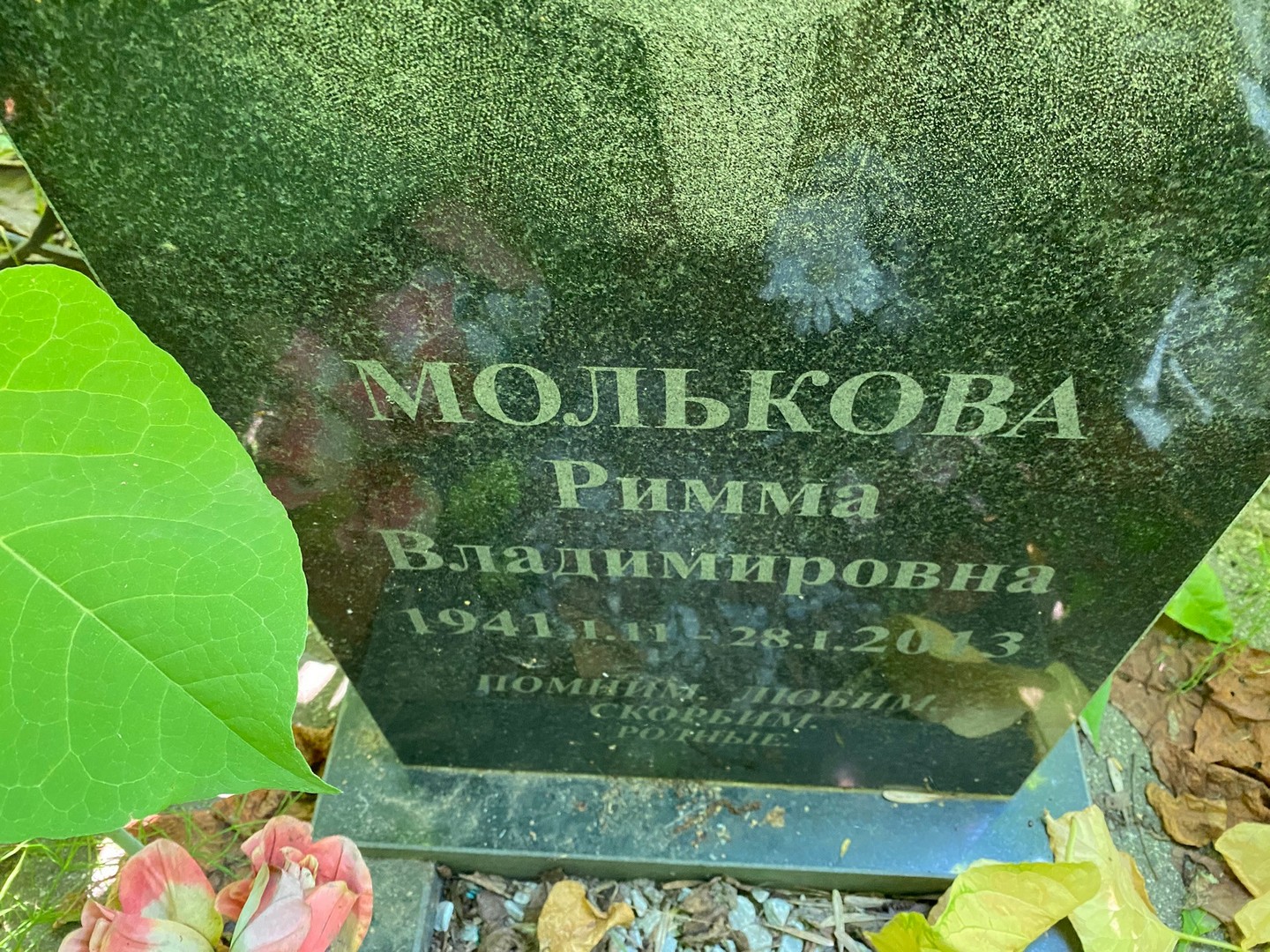 Римма Молькова Владимировна