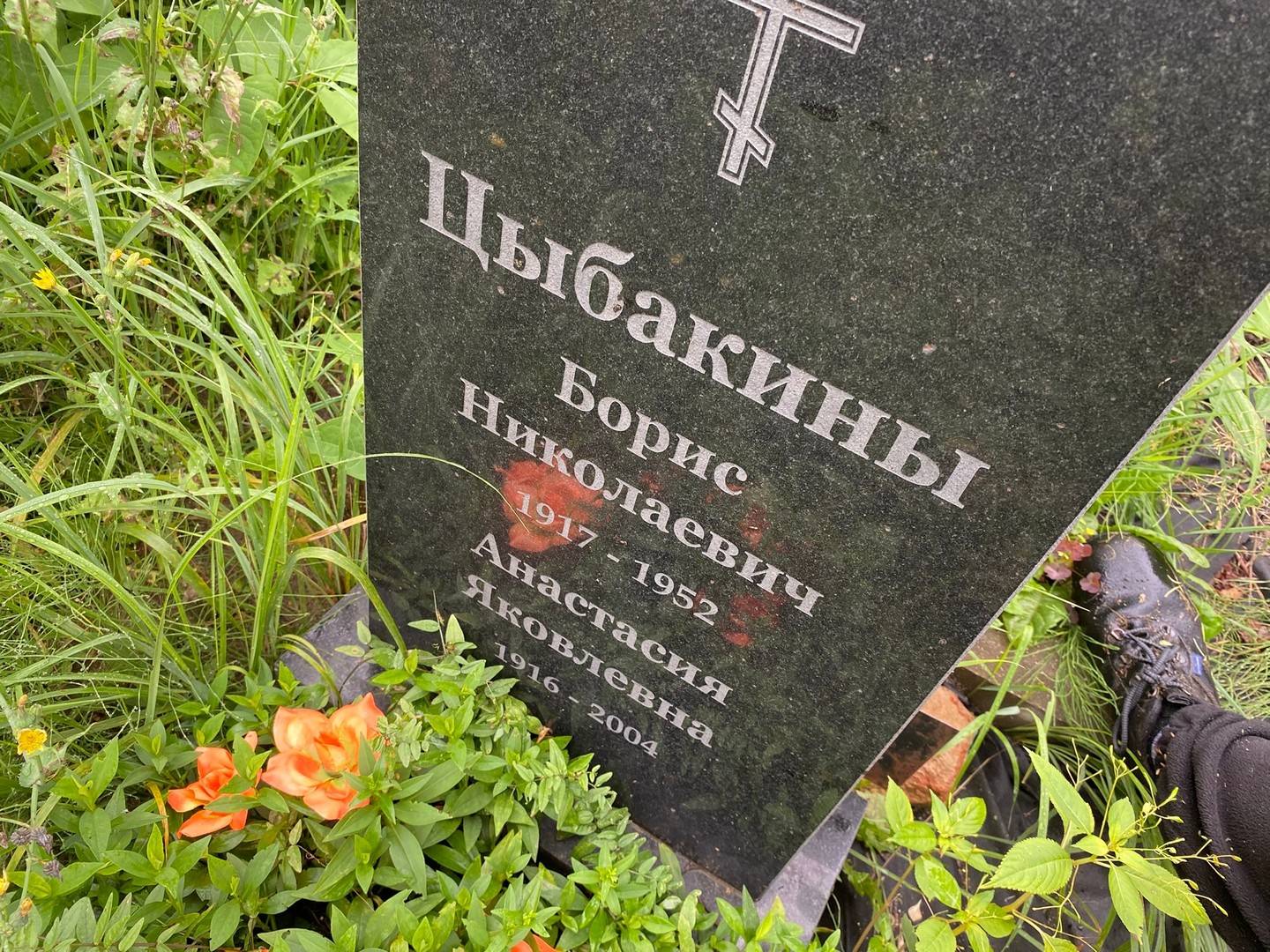 Цыбакин