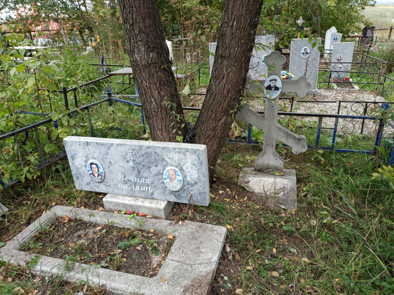 Крепышева Анастасия Григорьевна