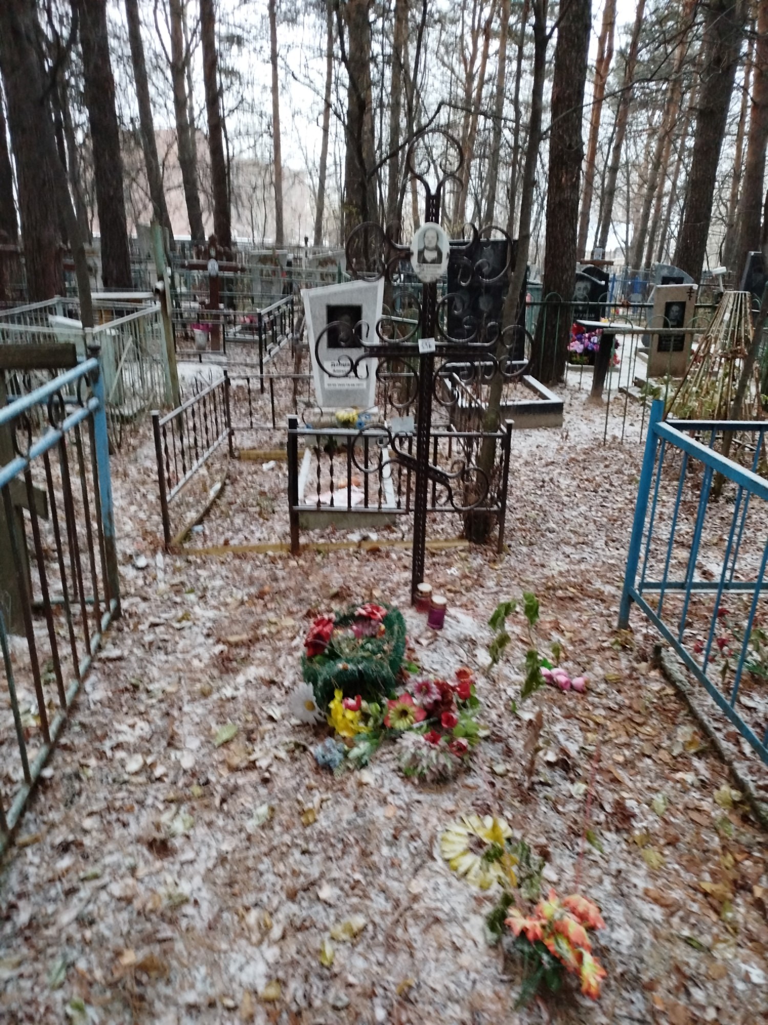 Палагина Антонина Константиновна