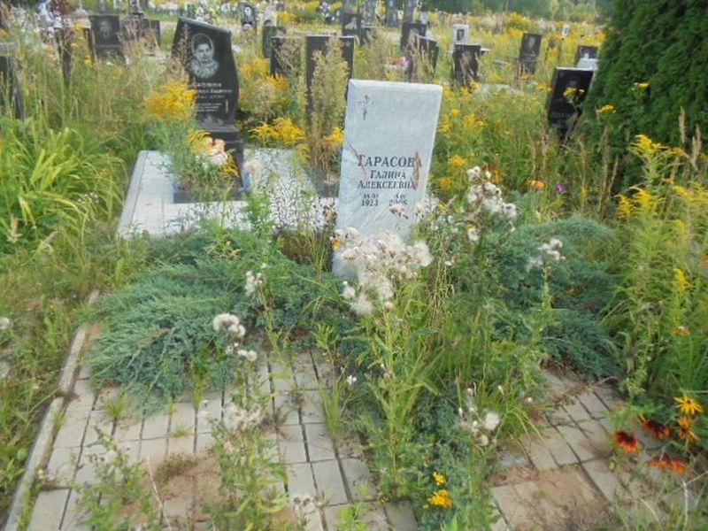 Тарасова Галина Алексеевна