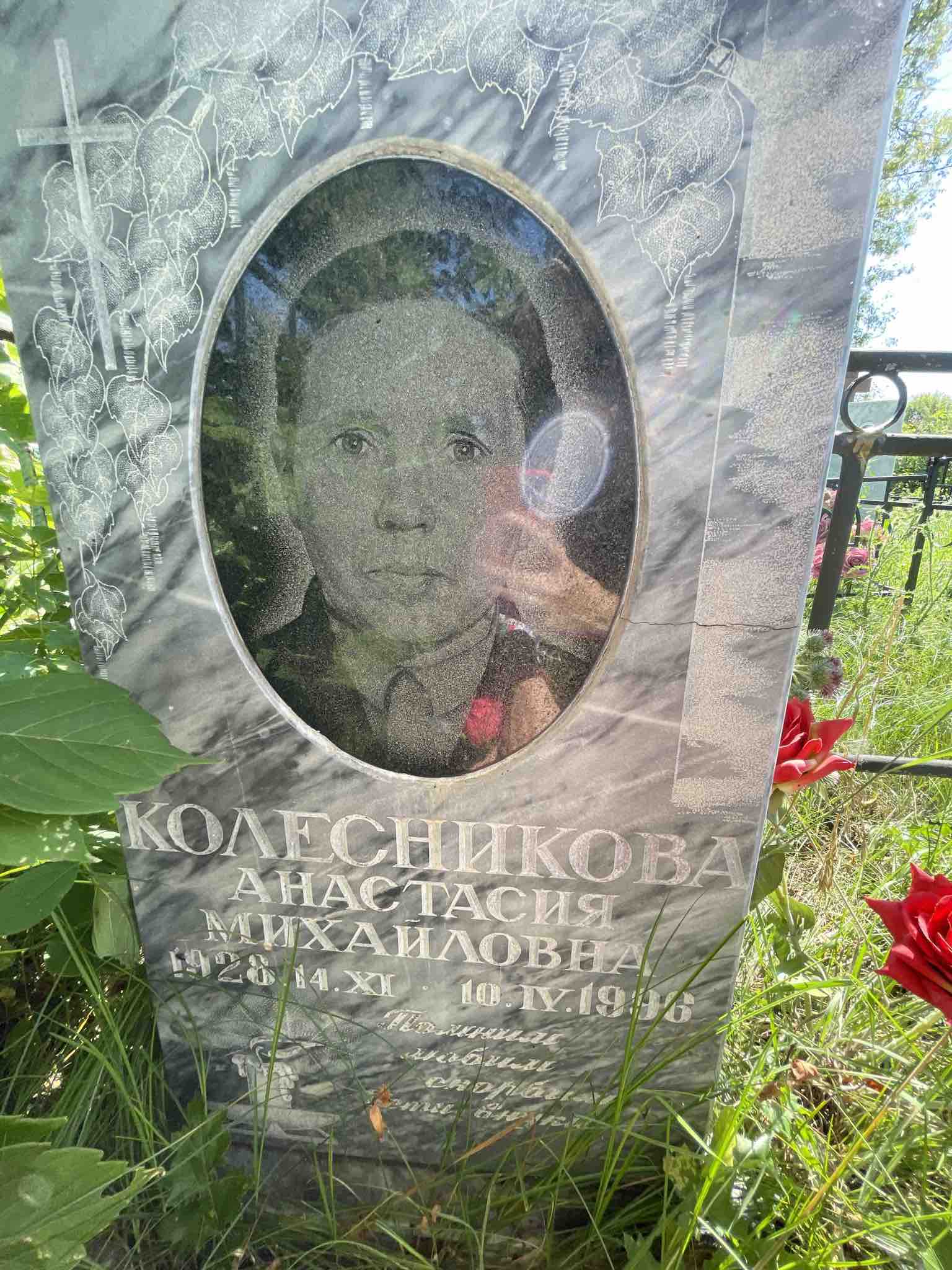 Колесникова Анастасия Михайловна