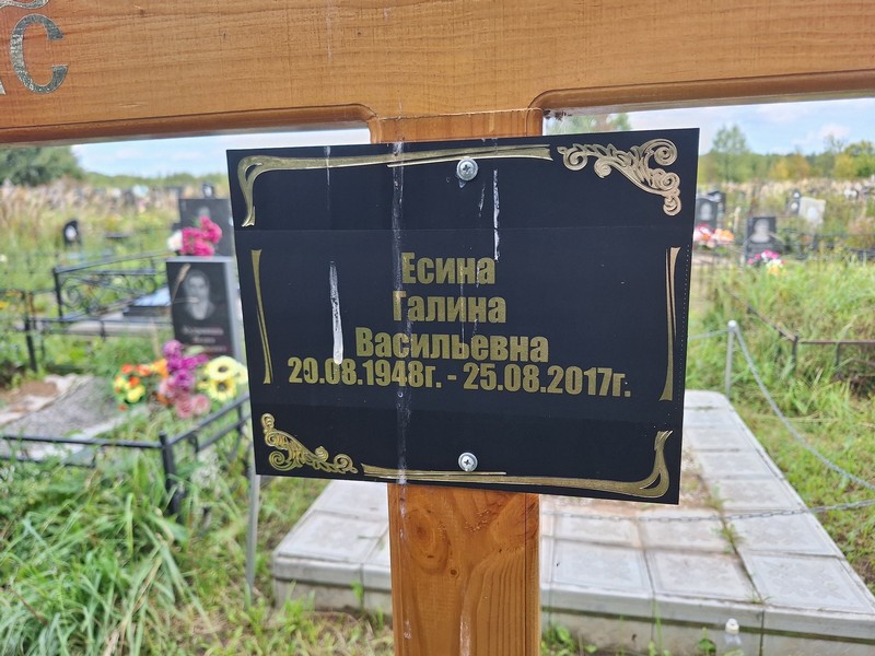 Есина