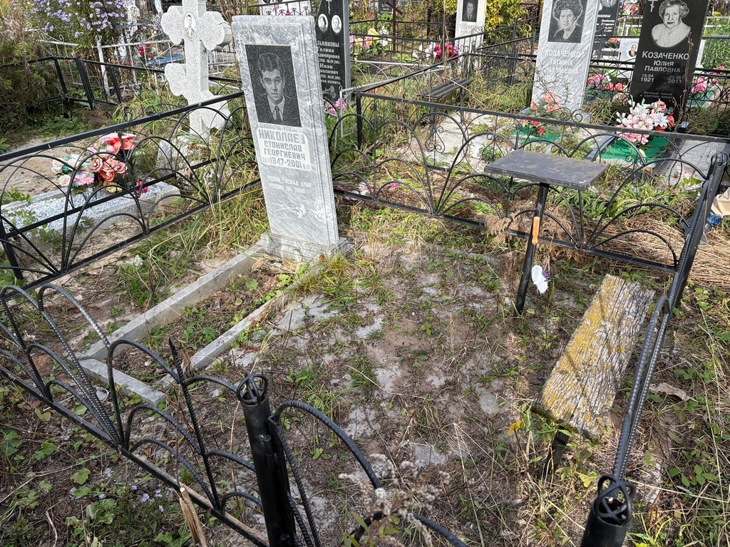 Николаев Станислав Георгиевич