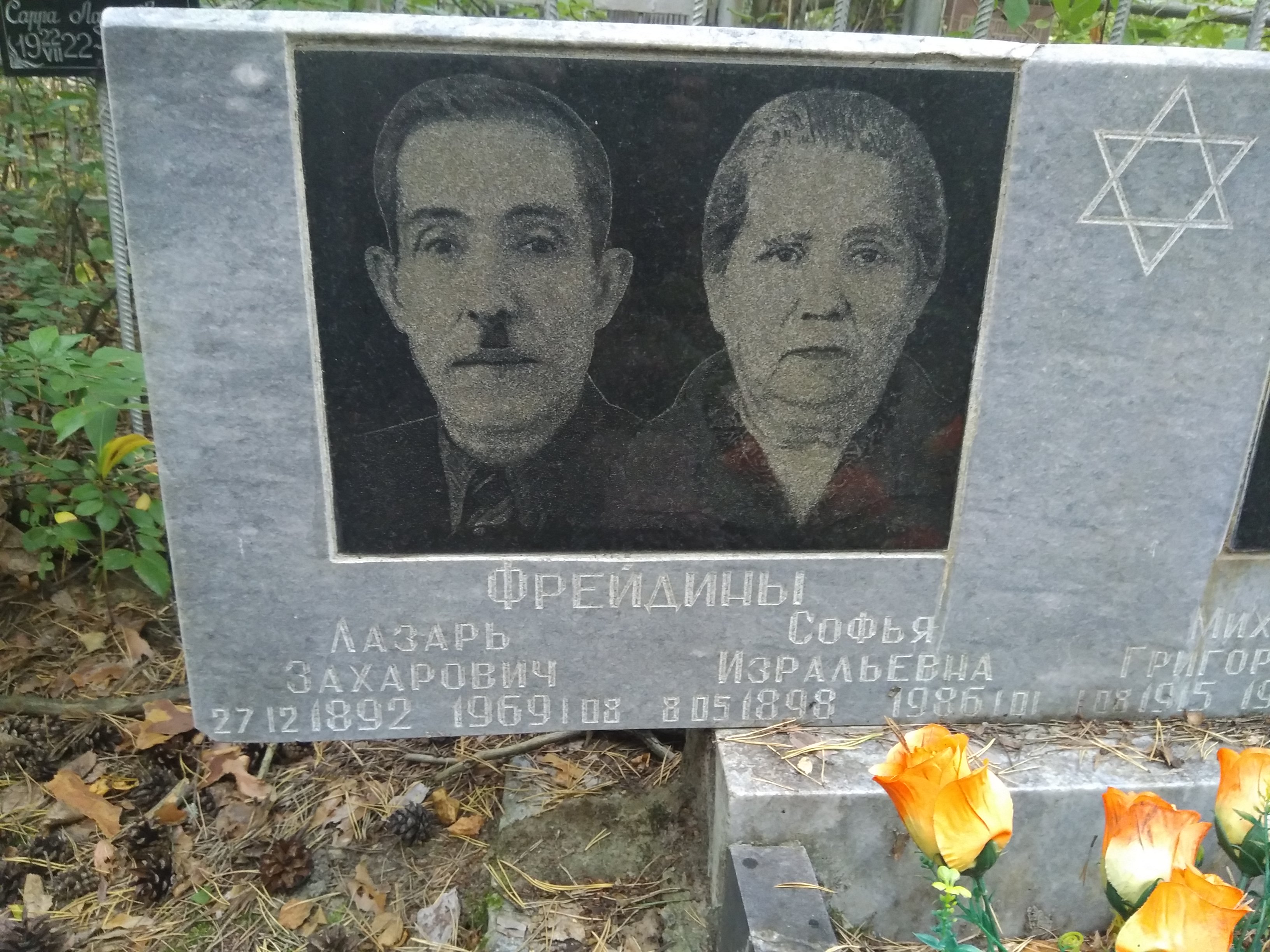 Фрейдина Софья Изральевна