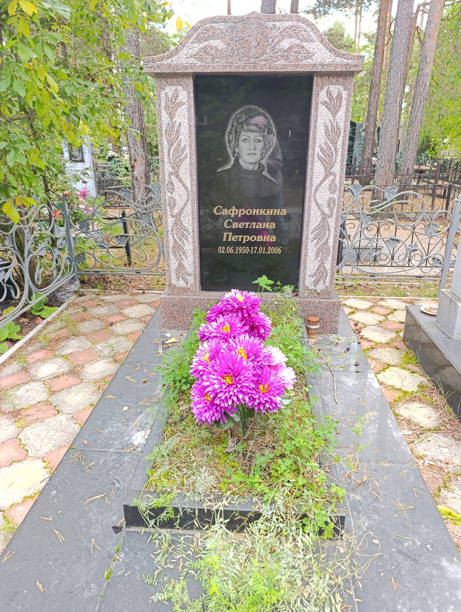 Сафронкина Светлана Петровна