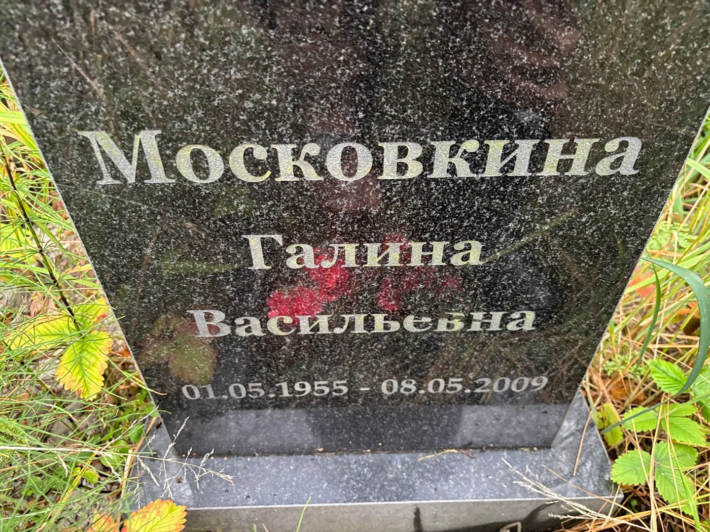 Московкина