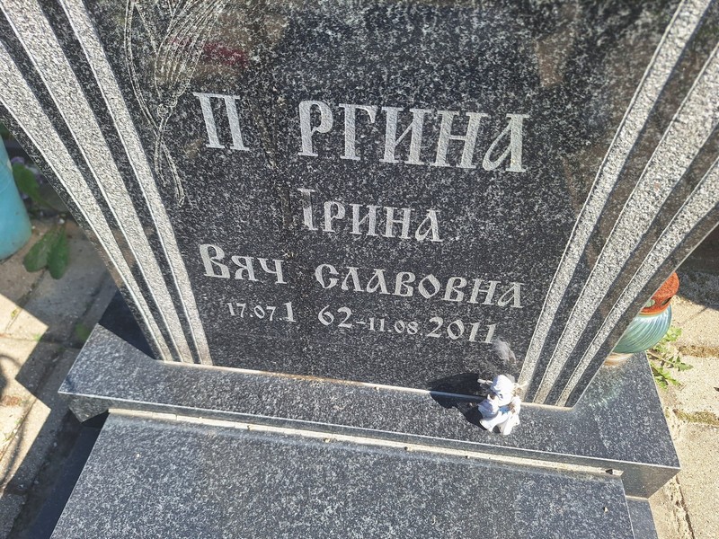 Пургина