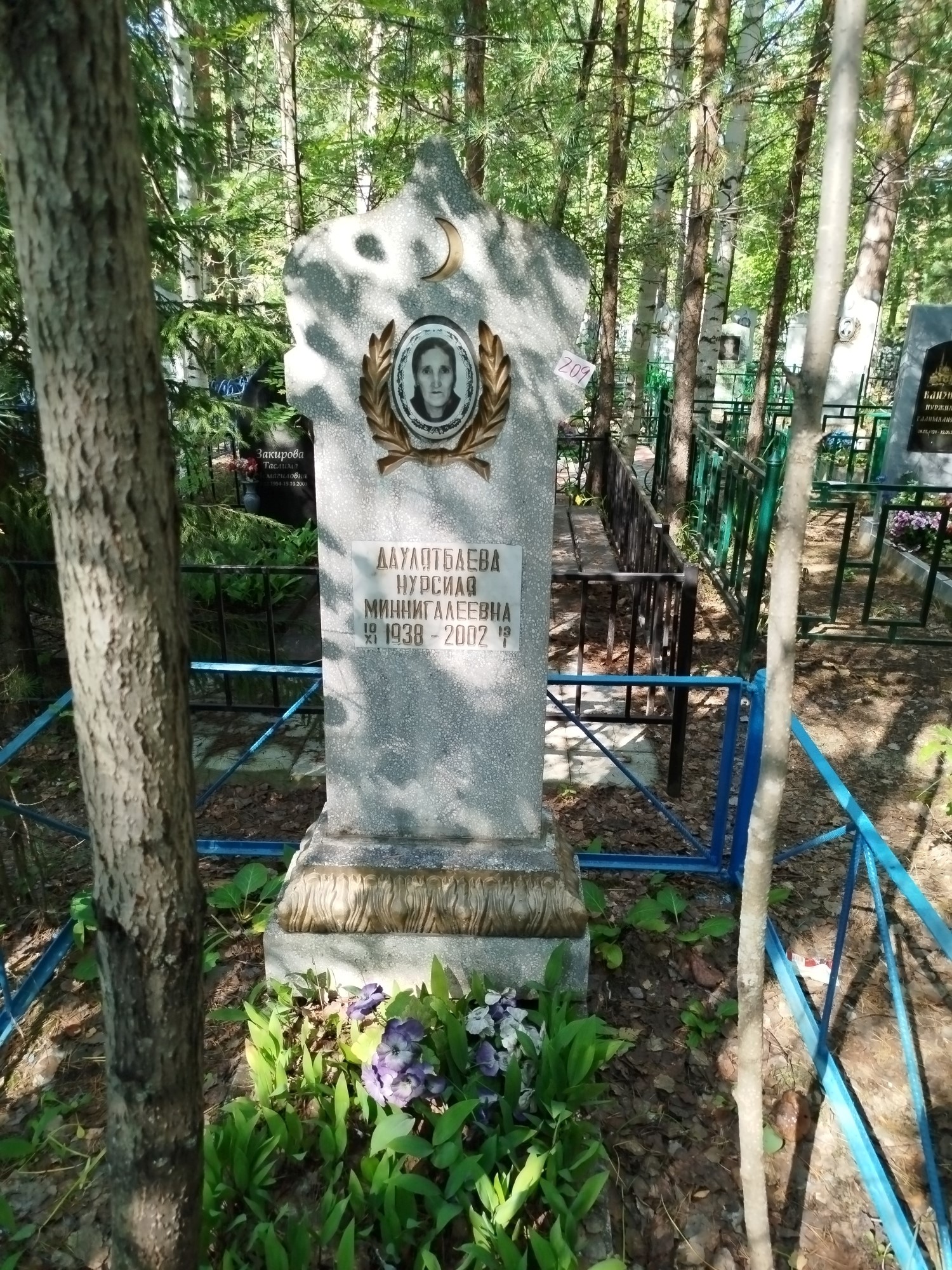 Даулятьаева Нурсиля Миннигалеевна