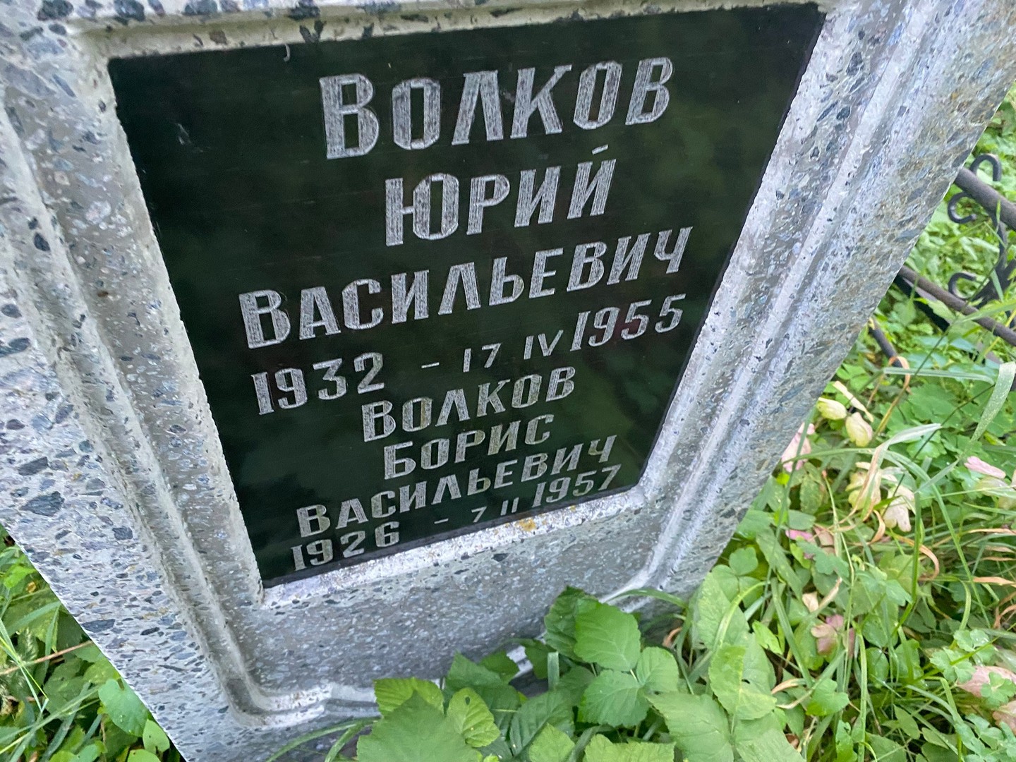Волков
