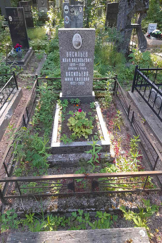 Васильев Илья Васильевич