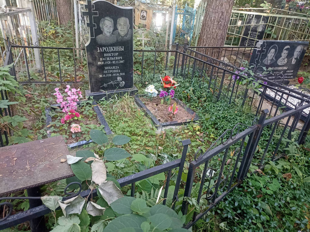 Зародкин Виктор Васильевич