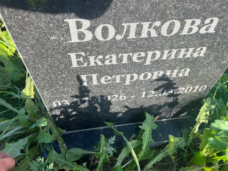 Волкова