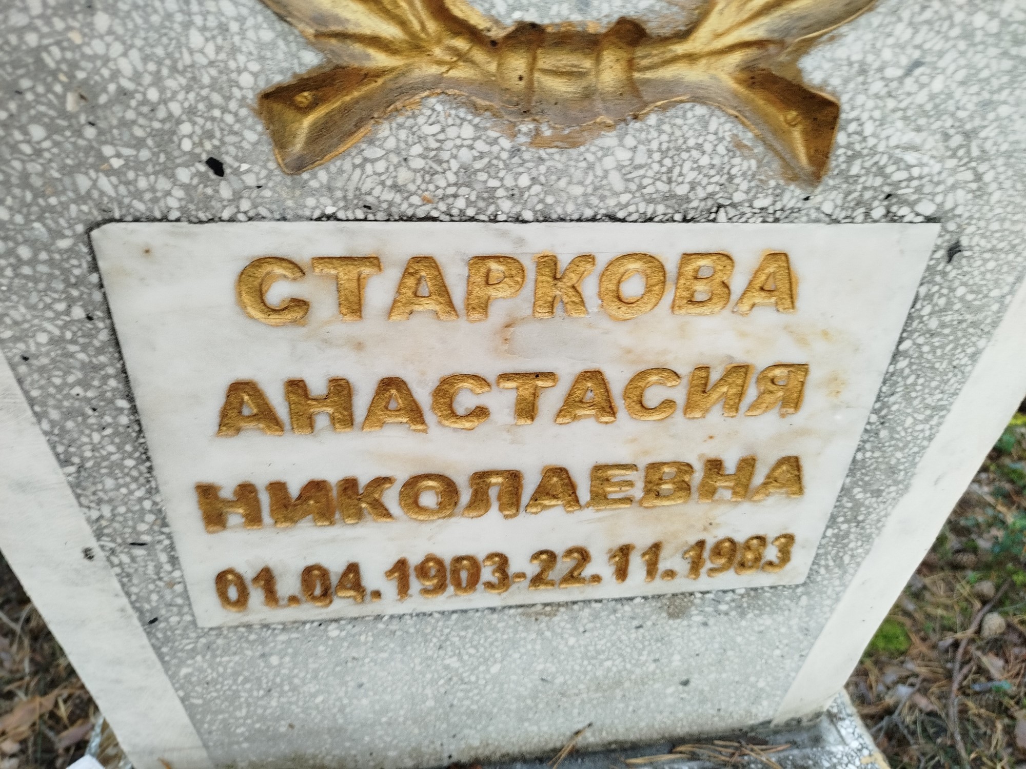 Старкова Анастасия Николаевна