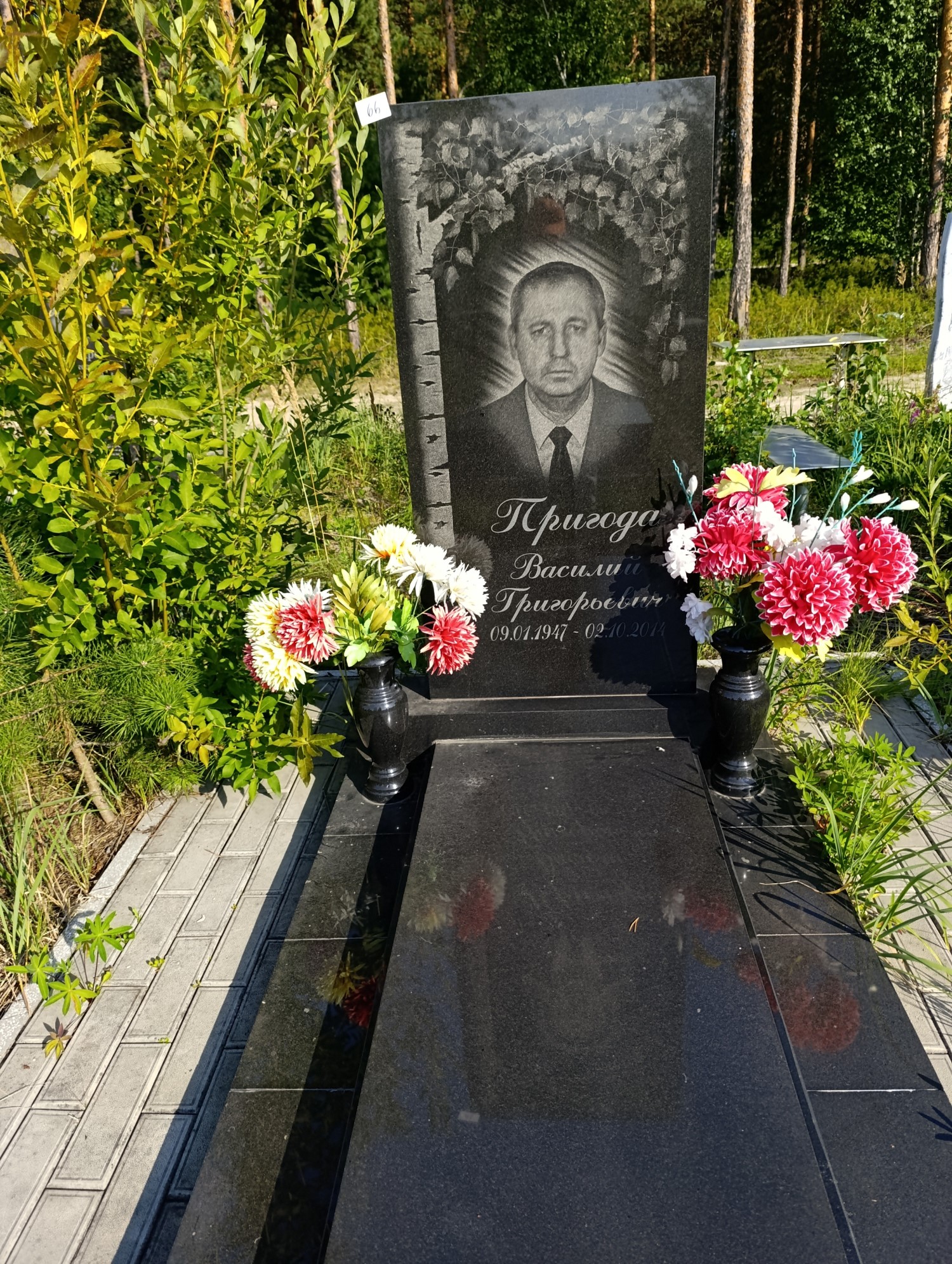 Пригода Василий Григорьевич
