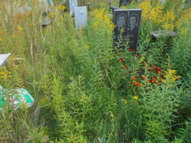 Пынин Виктор Александрович