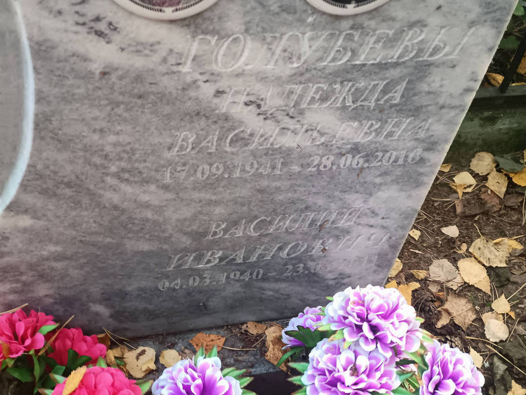 Голубева Надежда Васильевна