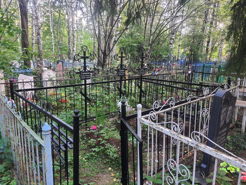 Станченкова Татьяна Степановна