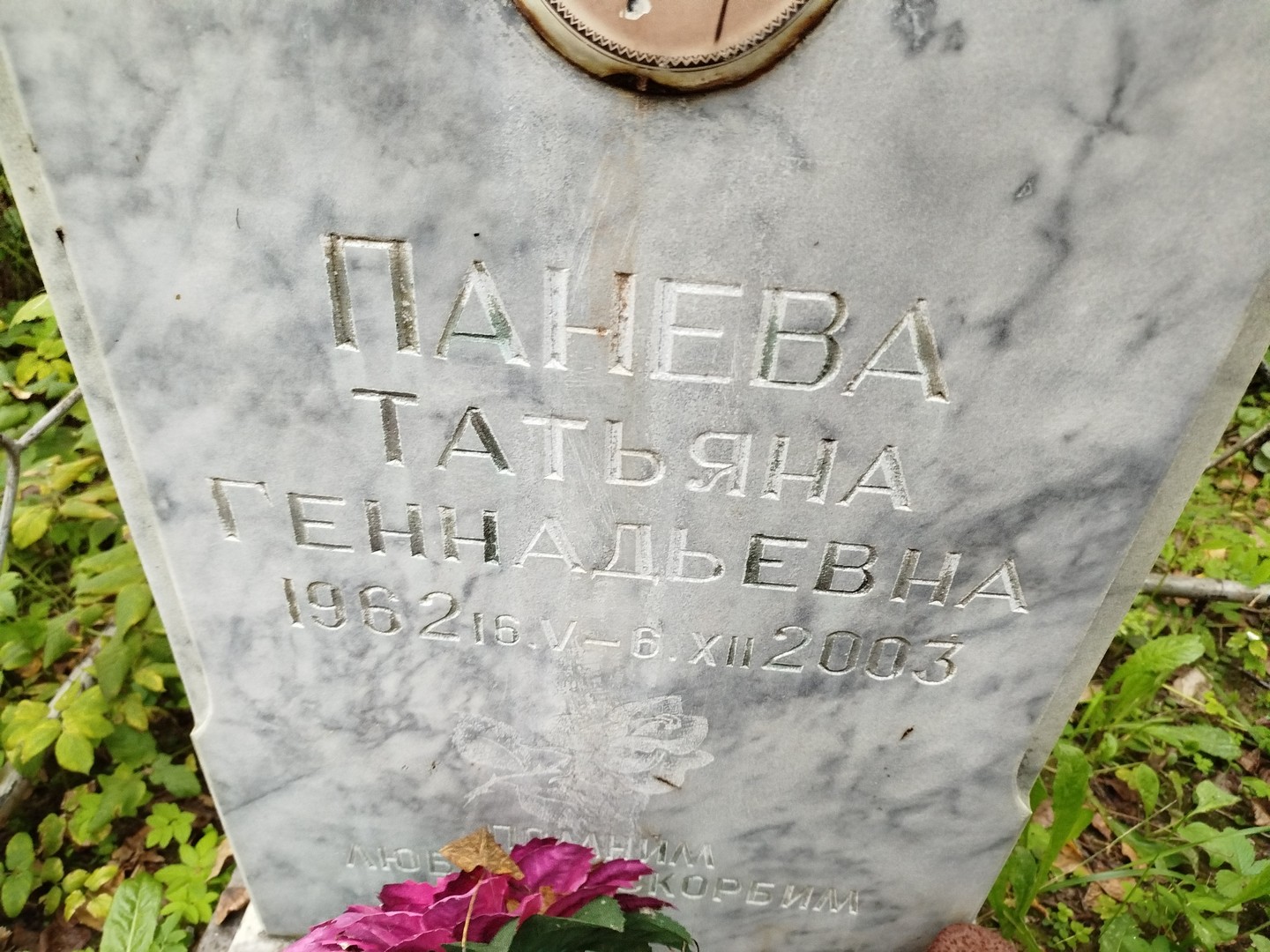 Панева