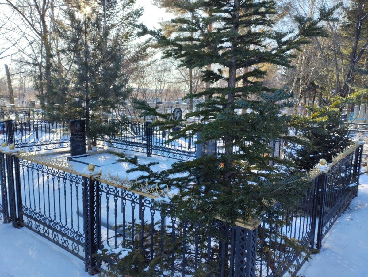 Курлович Ефим Герасимович