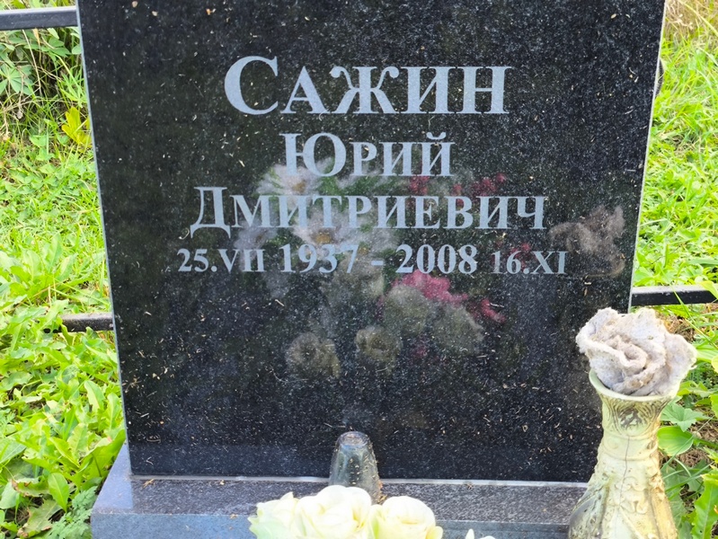 Сажин