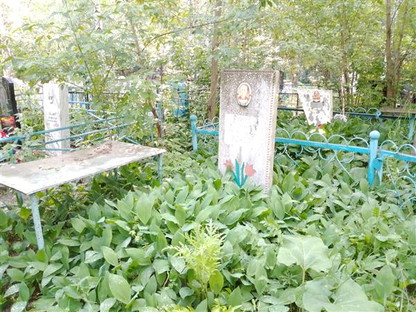 Янков Антон Николаевич