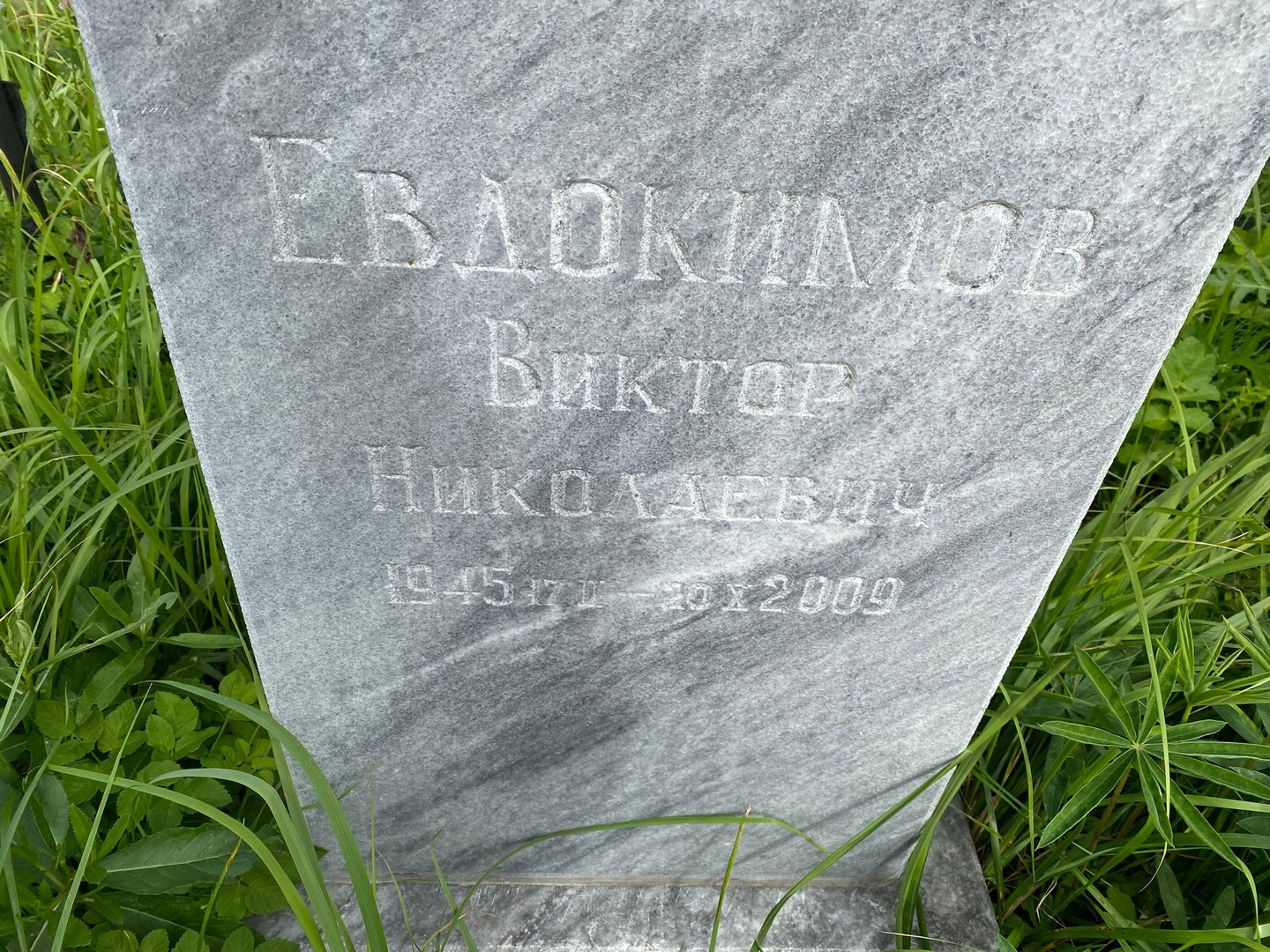 Евдокимов