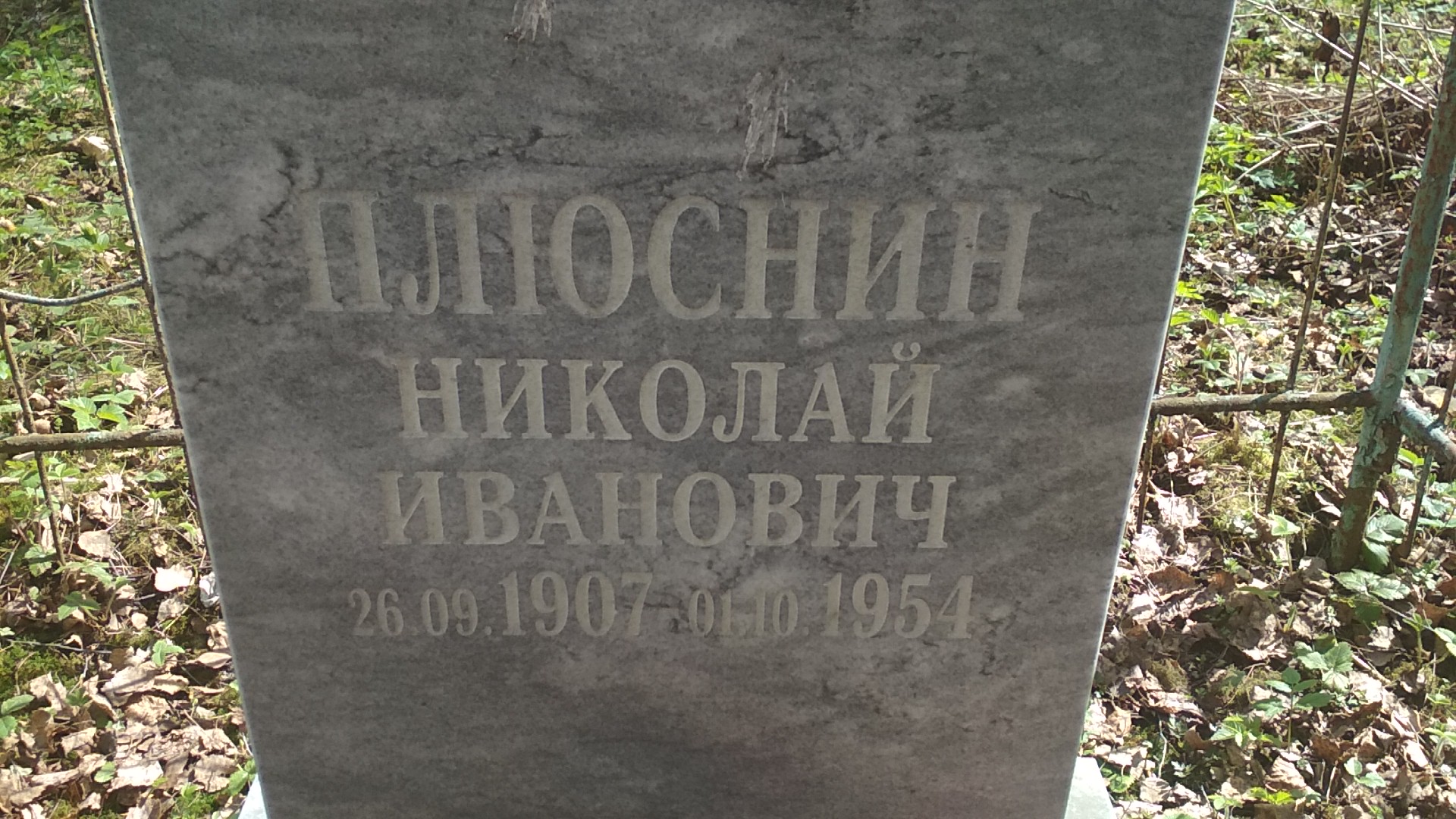 Плюснин Николай Иванович