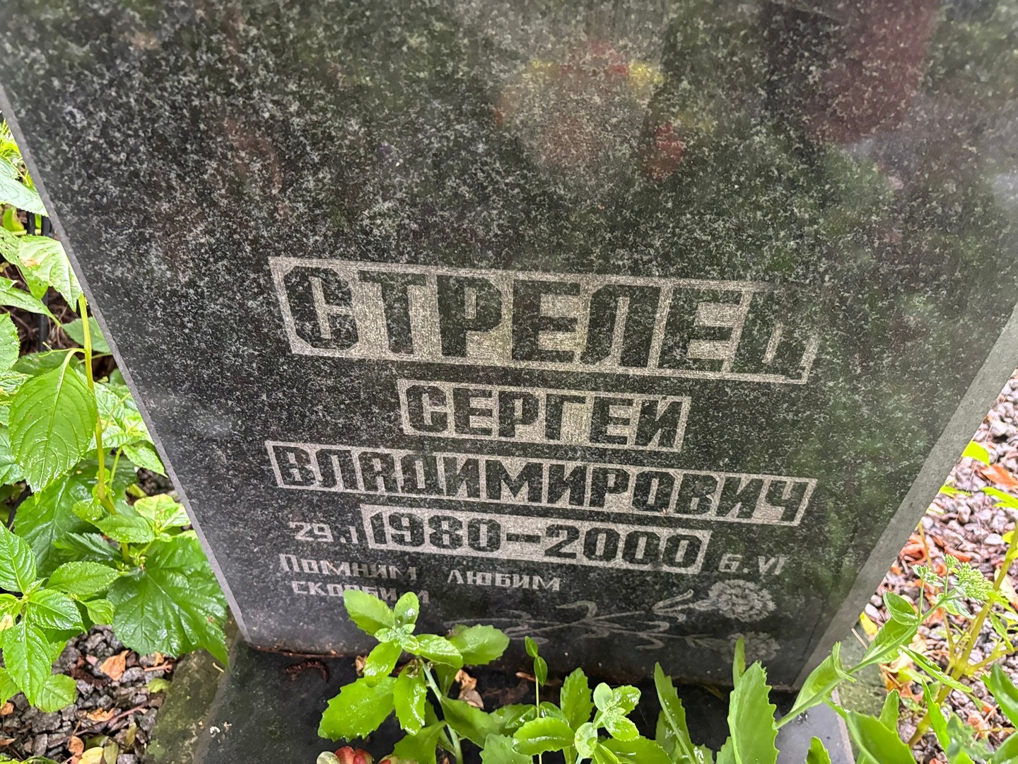Стрелец